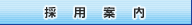 �̗p�ē�